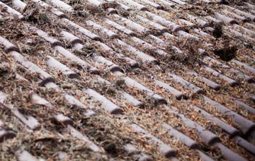 Pitpointie roof cleaning companies