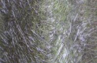 Pitpointie fibreglass roof work