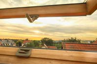 rated Pitpointie roof window companies